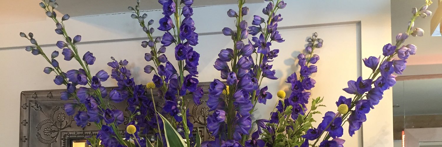 Ivisonflorist's profile banner image