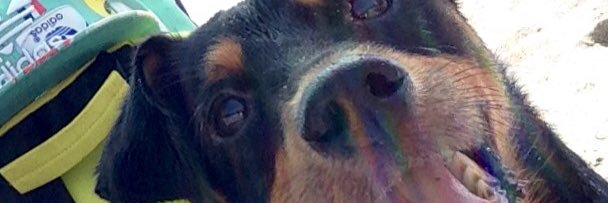 PEDRO__RUBIO's profile banner image