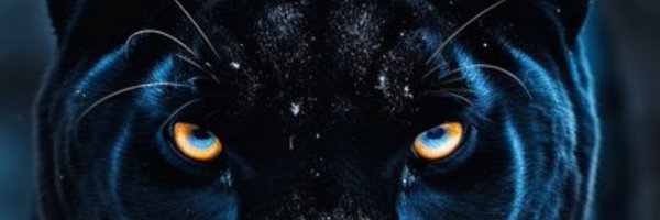 Sill311 Profile Banner