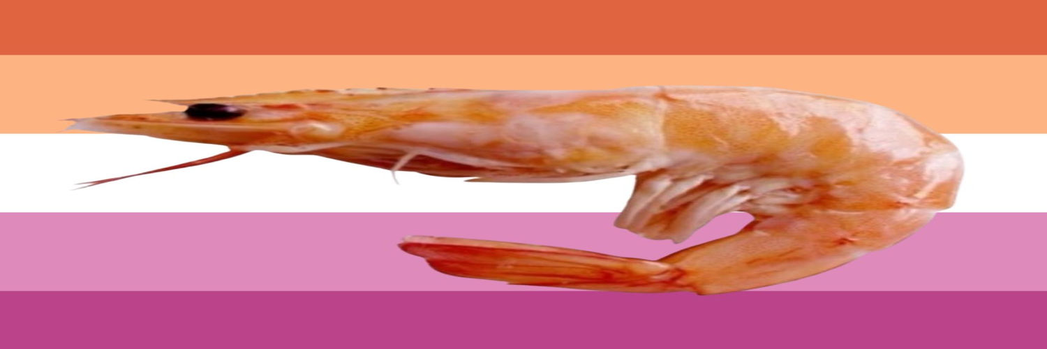 shrimp 💗 banner