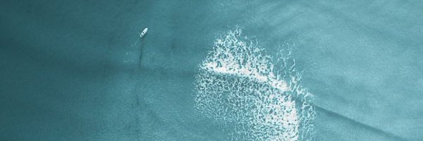 CarpioJudge Profile Banner