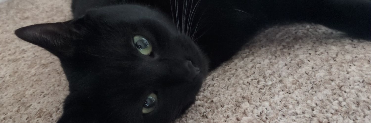 Adam Varley 🇺🇦 banner