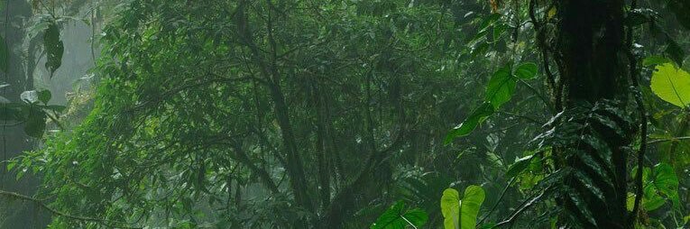 valemahon's profile banner image