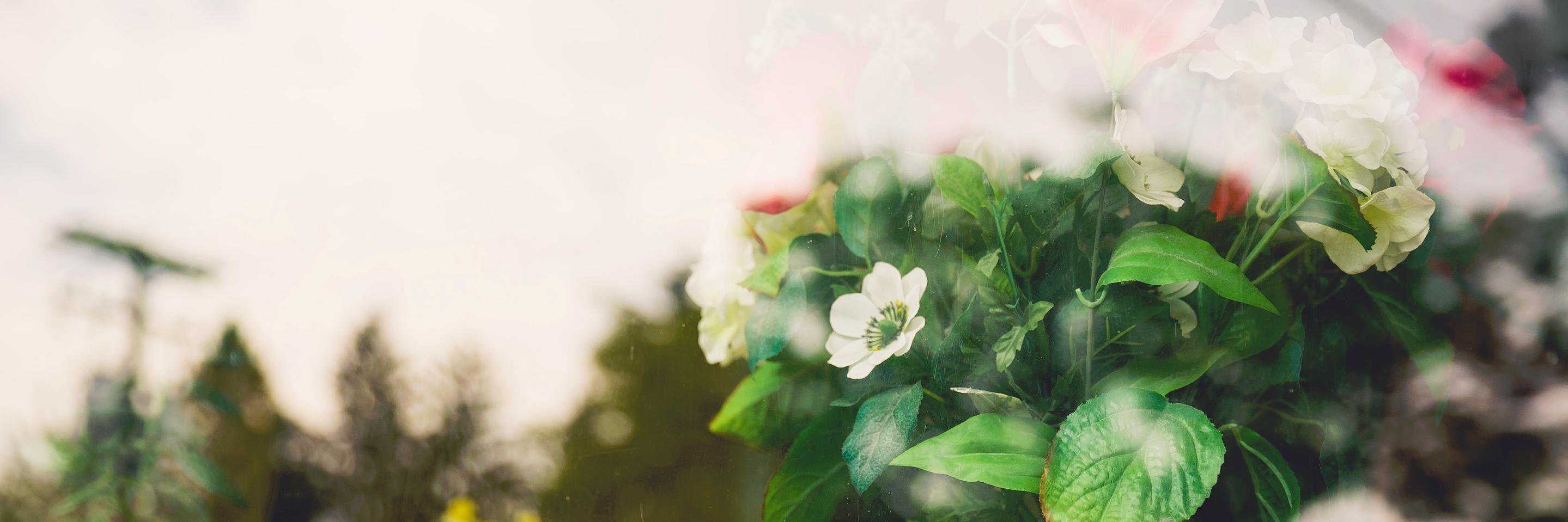 PursuedClt's profile banner image