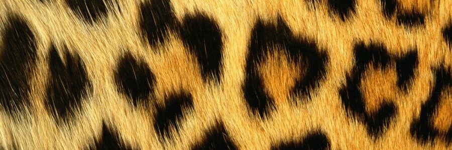 andreinaacero's profile banner image