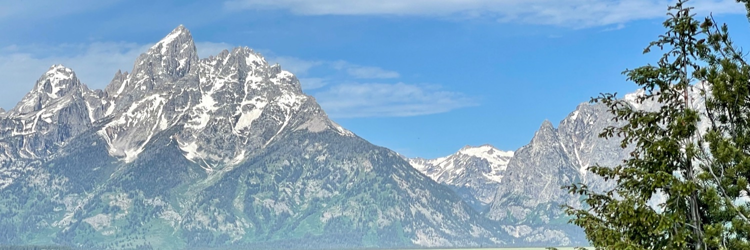 DavidRMann's profile banner image