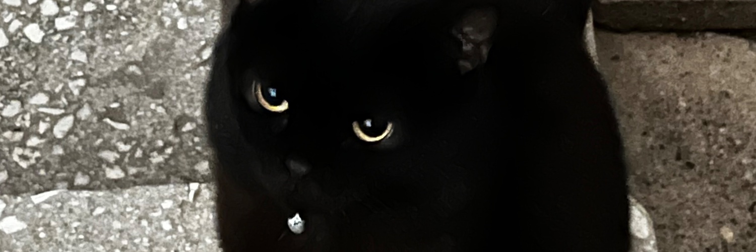 bPetrusss's profile banner image