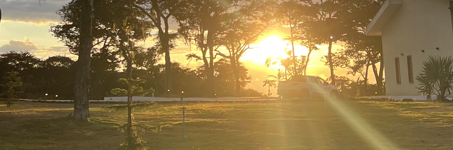 springdourada's profile banner image