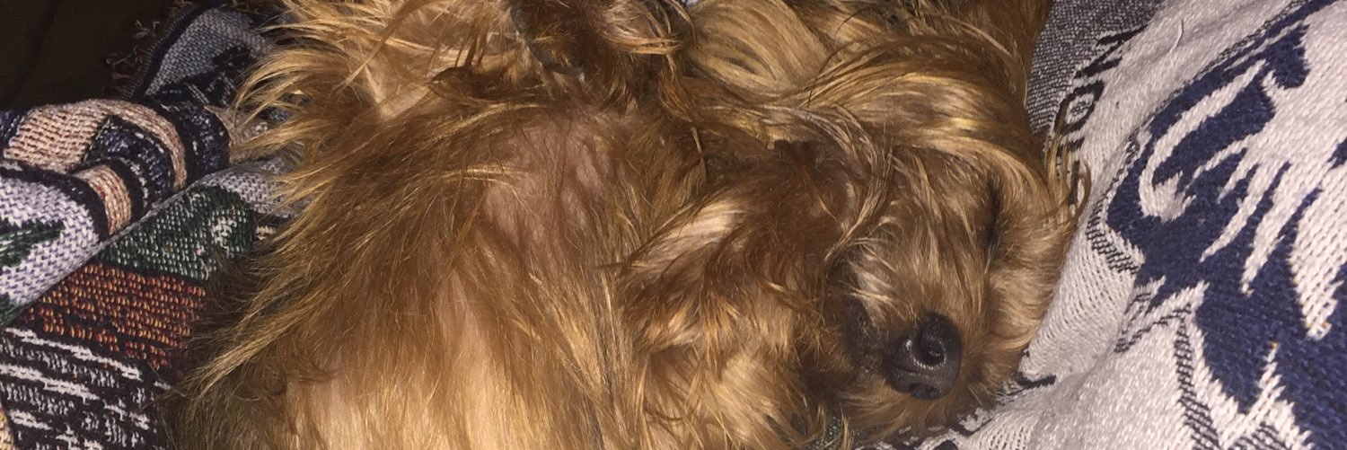 NathanielLindsa's profile banner image