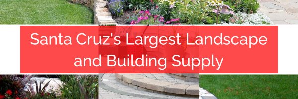 ch_supply Profile Banner