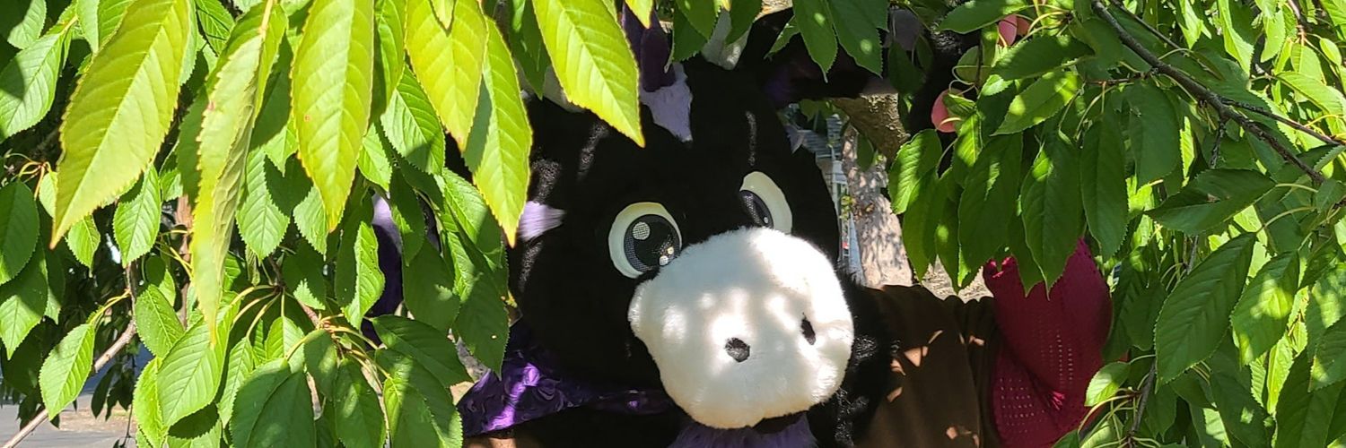 AmethystDutchie's profile banner image