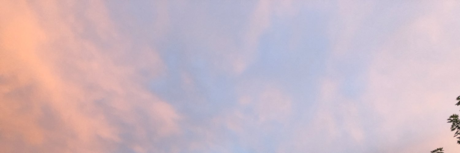 TimberlakeSara's profile banner image