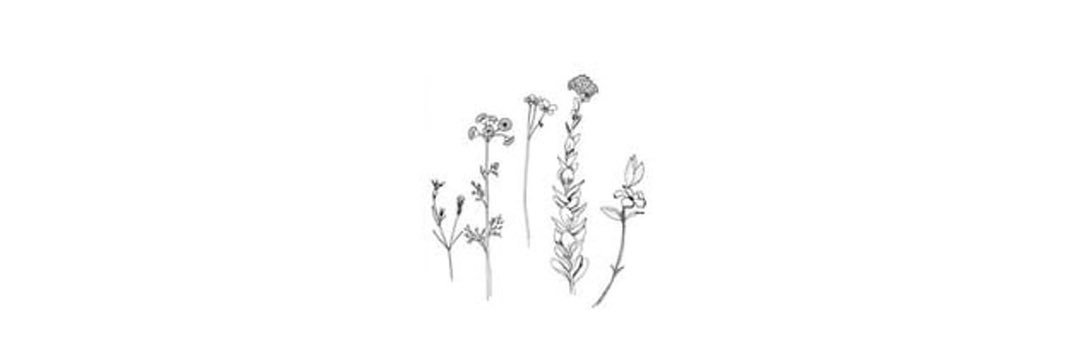 brittaneyccd's profile banner image