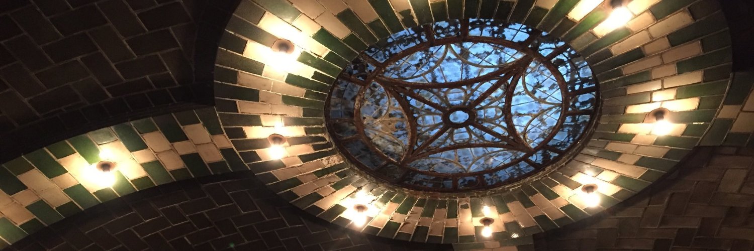 Lion Calandra banner