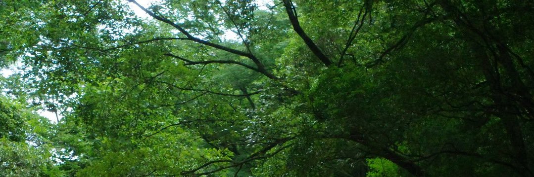みやざき banner