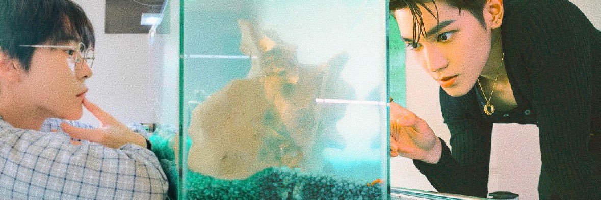 📌 banner