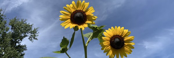 BrianKEverett93 Profile Banner