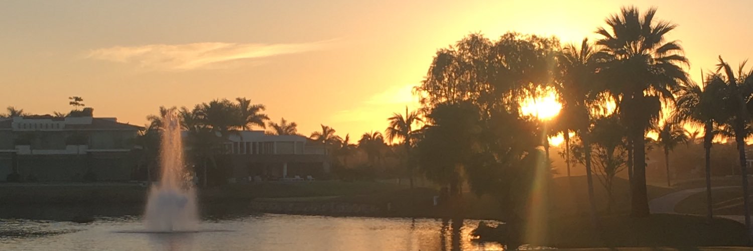 Esartie's profile banner image
