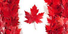 CanadaFunGuy's profile banner image