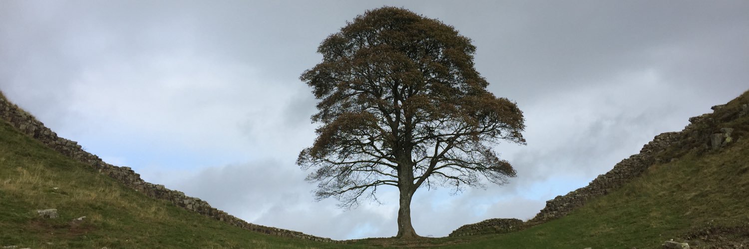 William Johnson banner