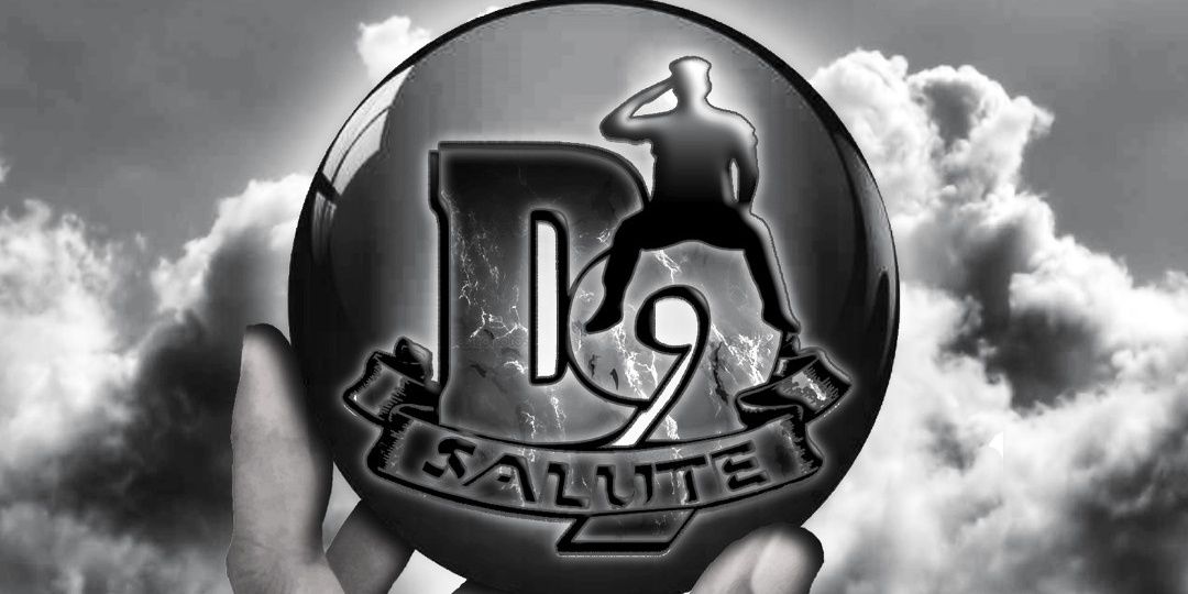D9salute banner