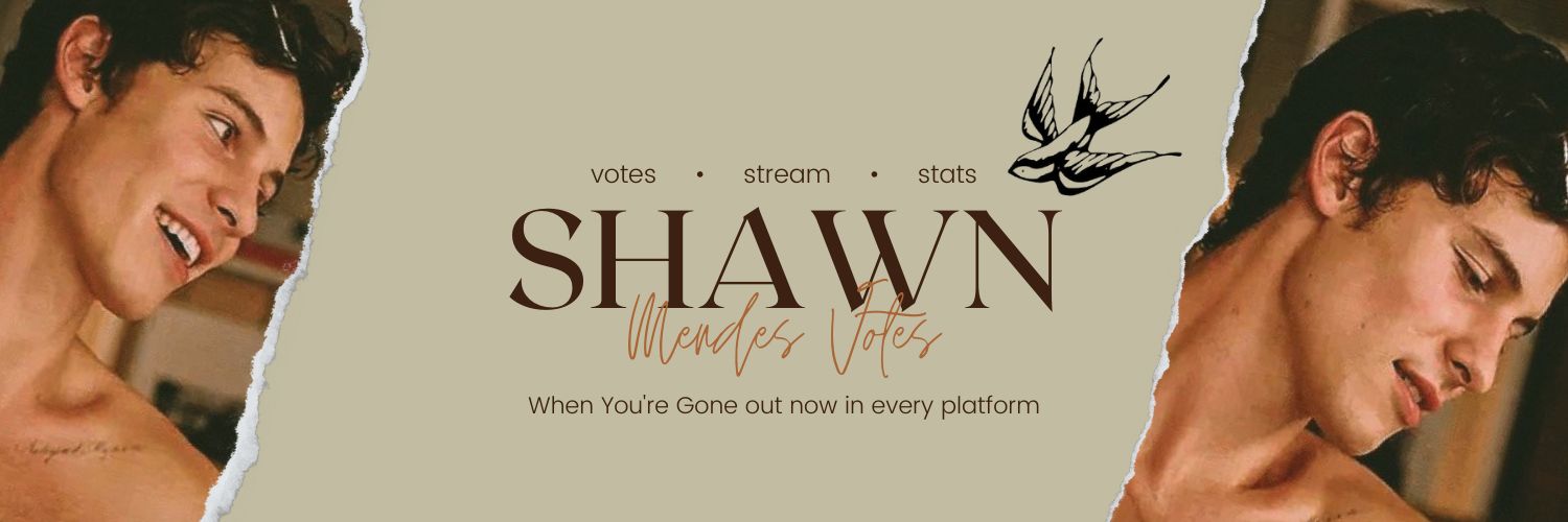 Shawn Mendes Votes banner