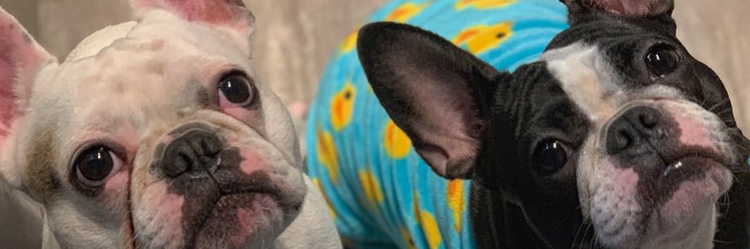 AdrianCad2's profile banner image