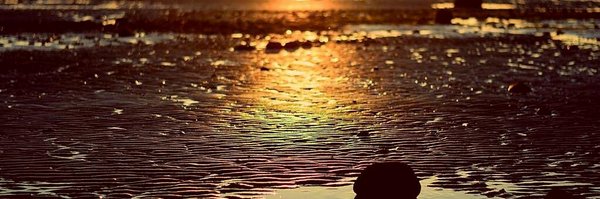 johnurry Profile Banner