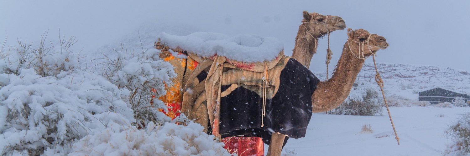 myswfr's profile banner image