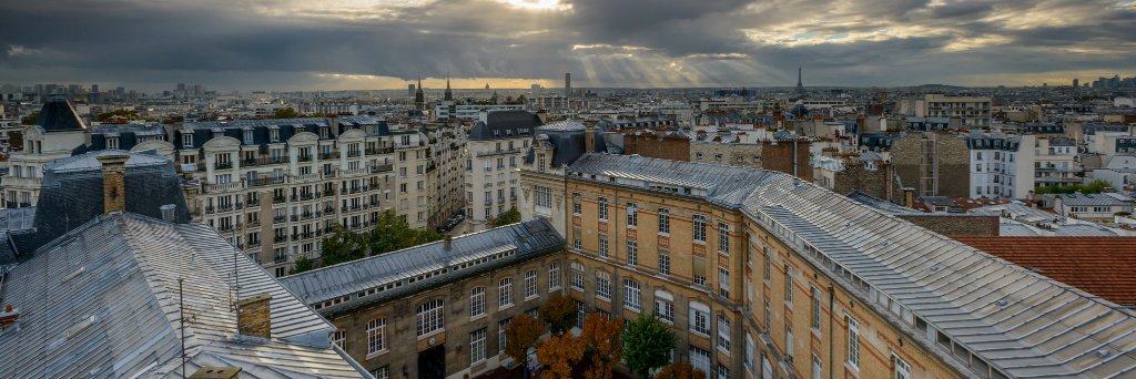 Dimitri Champollion banner