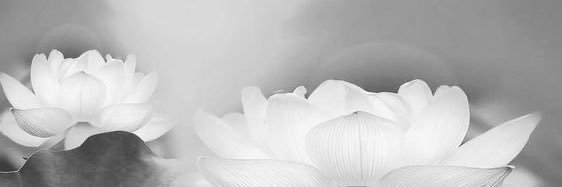 ًً banner