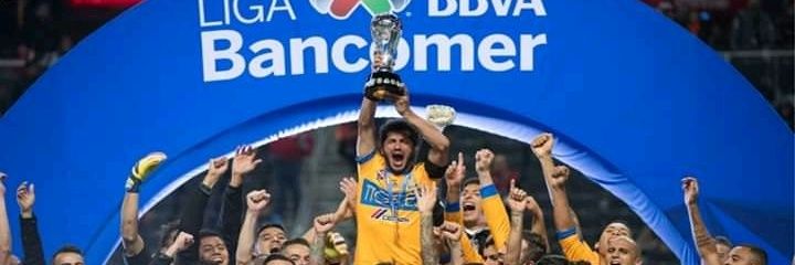 Che Boludo banner