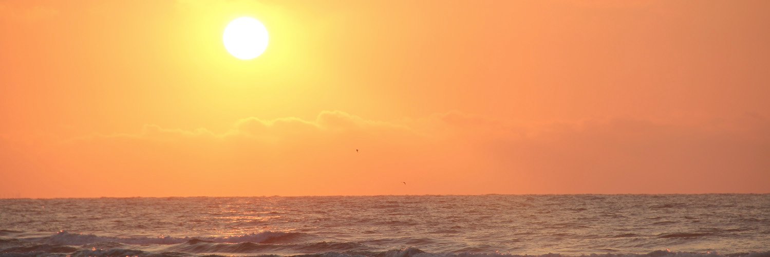 DropOfGoldSun's profile banner image