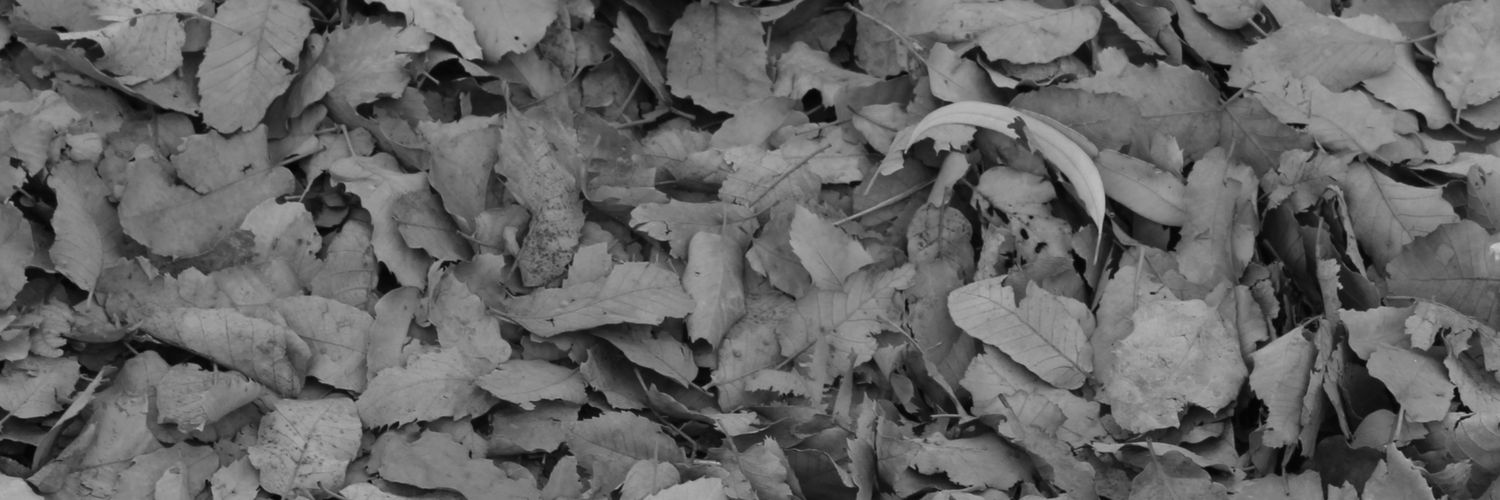 ParhamKarami3's profile banner image