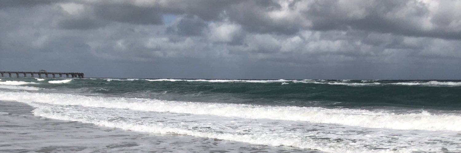 memarino313's profile banner image