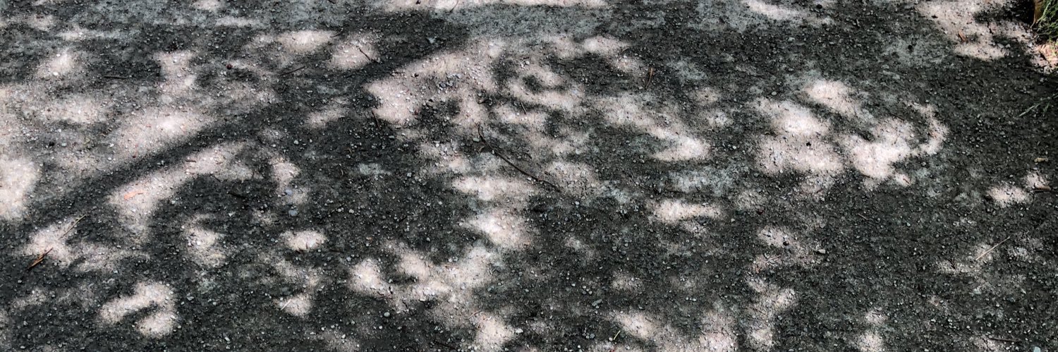 zola666's profile banner image