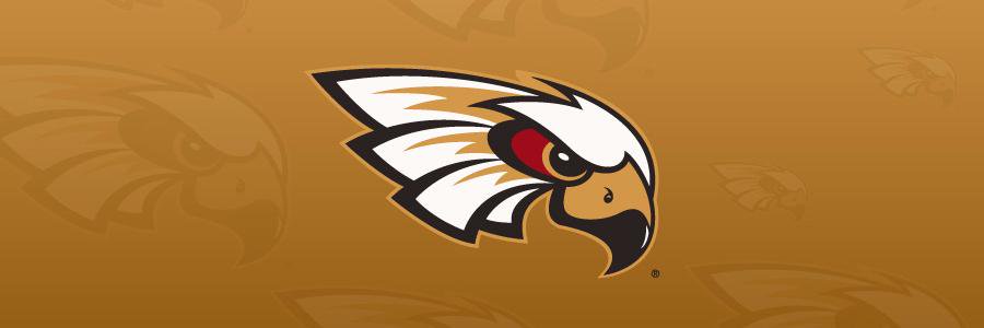 13_Schmit's profile banner image