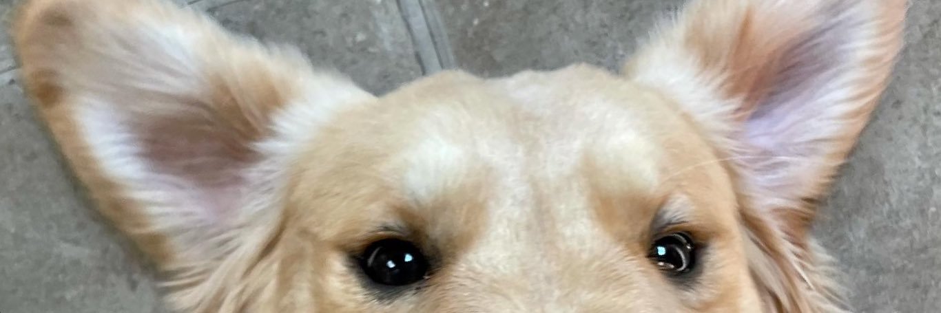 macylayne21's profile banner image