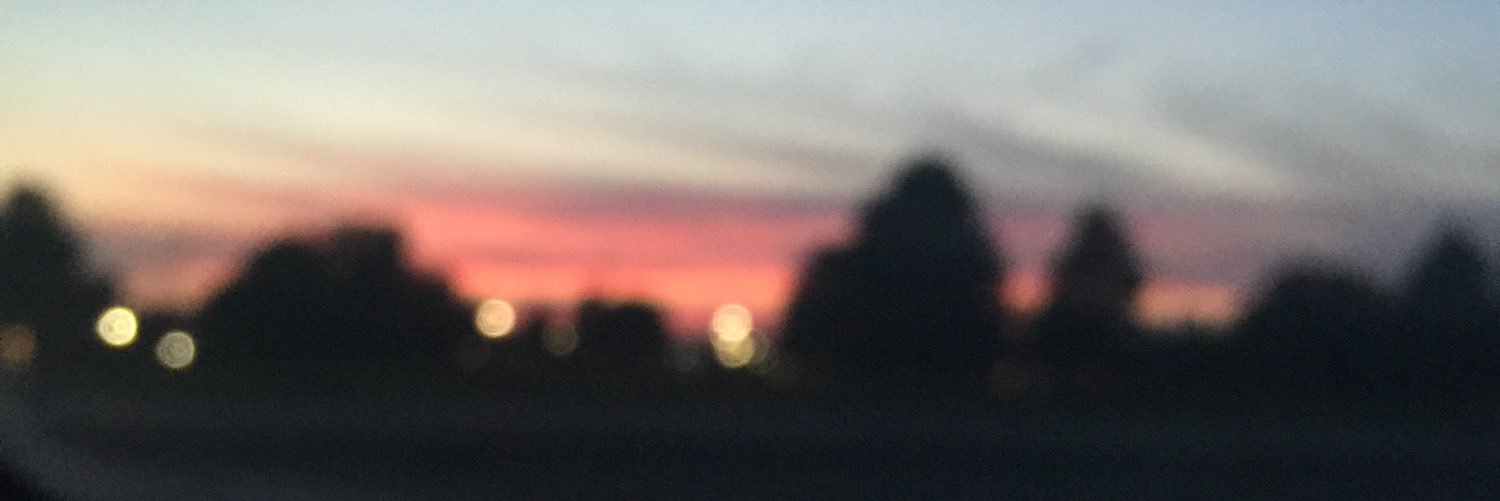 lexiriggs_'s profile banner image