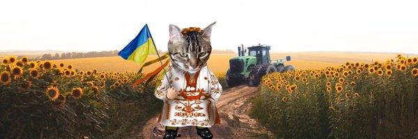 MnvlNoomi Profile Banner