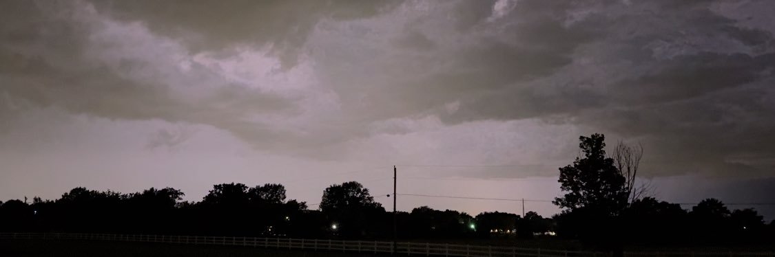 Gina banner