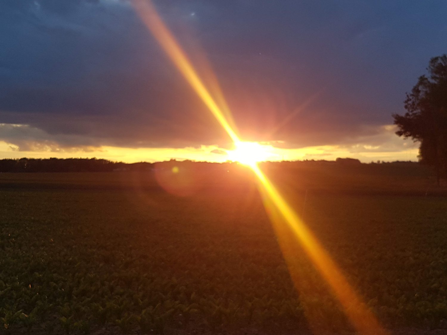 MichaelKirchme4's profile banner image