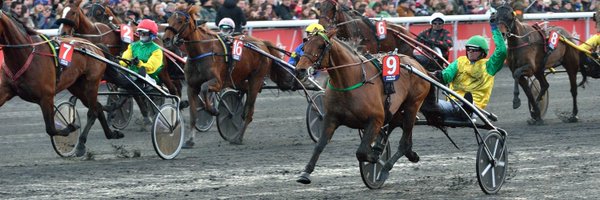 Trotteurs1 Profile Banner