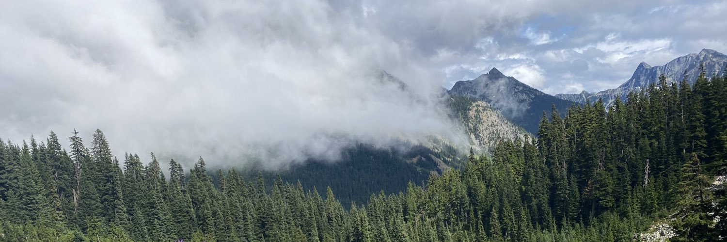 michaela_huppe's profile banner image