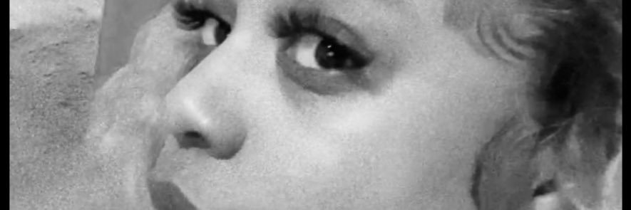 ayvylaa's profile banner image