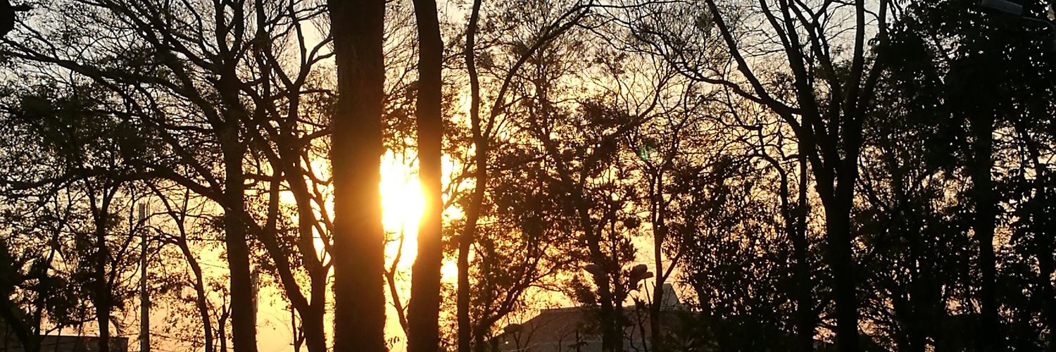 thaliirojas's profile banner image