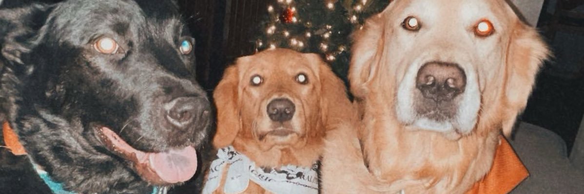 vheerix's profile banner image