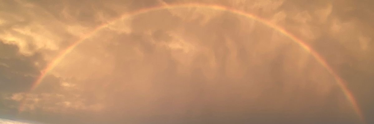 luu_gamboa's profile banner image