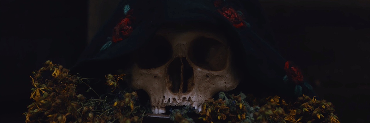 illalotha's profile banner image