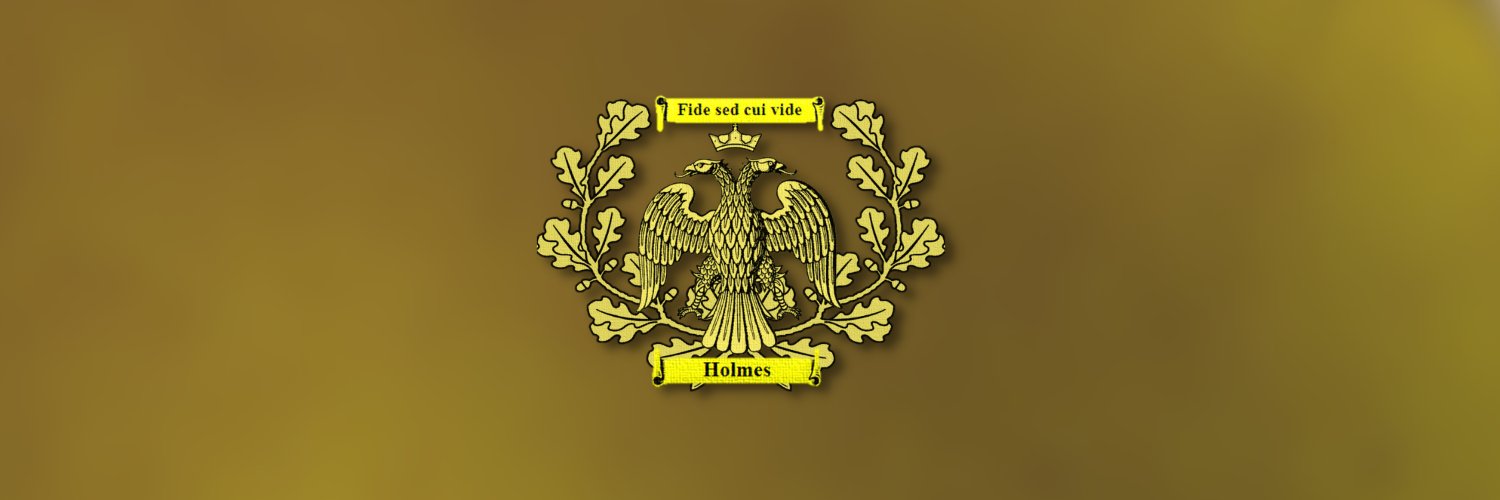 MycrosoftHolms's profile banner image